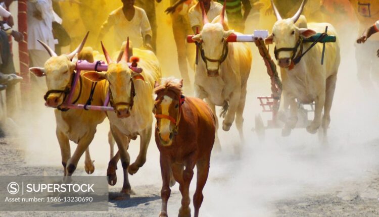 Sadabhau Khot criticized the government