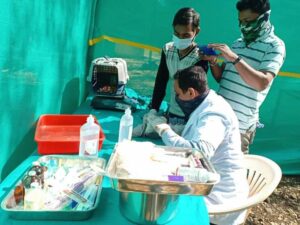 wildlife hospital