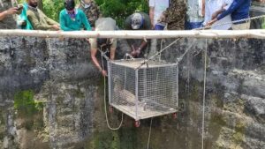wildlife hospital