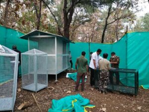 wildlife hospital