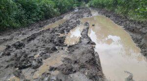 Jamkhed News, Even after 75 years of independence, Dolewadi is still waiting for the road
