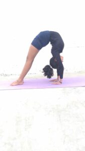Anuradha and Chaitanya are the two Raut brothers selected for the National Yogasana Competition