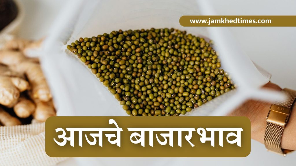 Moong Bazar Price Maharashtra, Moong Bazar Price Ahmednagar, Moong Bazar Price, mug bazar bhav, moong bazar bhav, mung bazar bhav, Moong Bazar Price Maharashtra, Moong Bazar Price, Moong Bazar Price Today Jamkhed Maharashtra, Moong Bazar Price Today Ahmednagar Maharashtra, Today Market Price, Market Price Pune, Market Price Jamkhed Market, moong today price, green moong today price, moong current price,