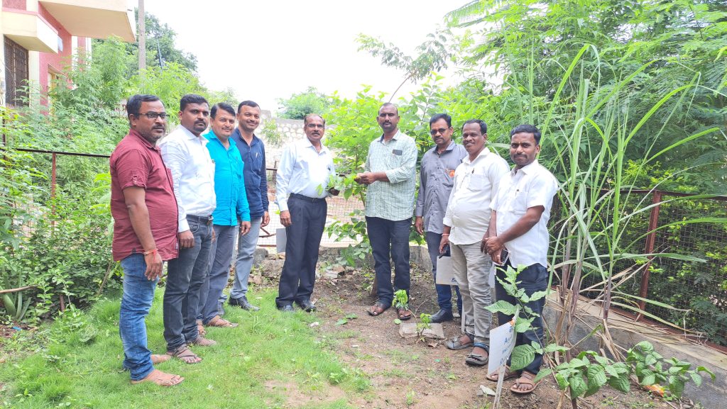 Sunday Special Story, Plants from the book live in the school yard, botanical garden created by L N Hoshing School jamkhed,