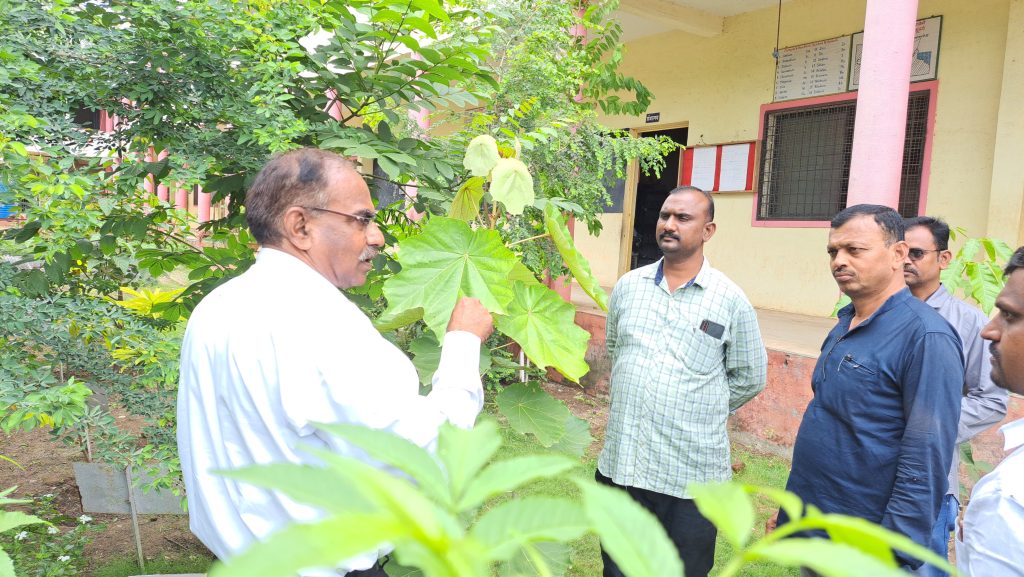 Sunday Special Story, Plants from the book live in the school yard, botanical garden created by L N Hoshing School jamkhed,