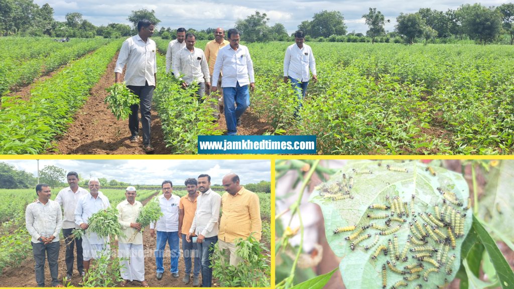 Taluka Agriculture Officer Rajendra Supekar goes to the farm and guides the farmers