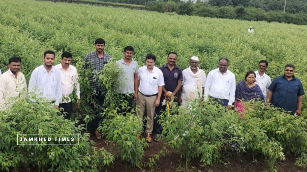 Divisional Joint Director of Agriculture Rafiq Nayakwadi visited Halgaon,sterility mosaic disease related crops inspected, interacted with farmers
