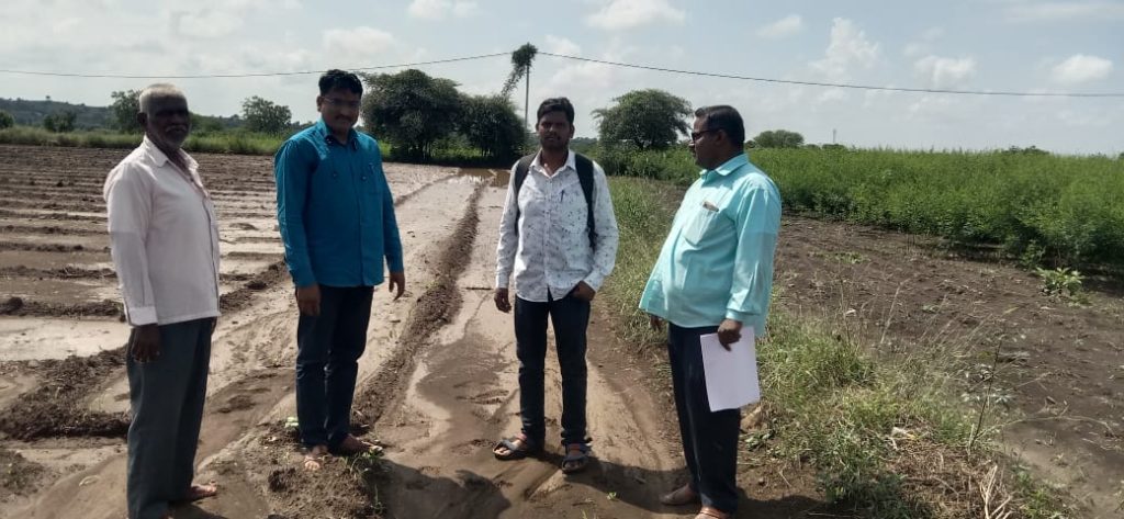 Joint Panchnama of the damage due to heavy rain in Jamkhed taluka has been launched by Agriculture and Revenue Department, see the overview of the damaged area in the photo