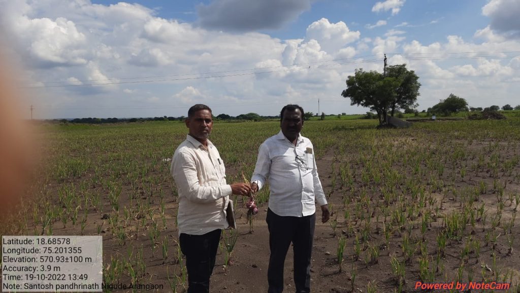 Joint Panchnama of the damage due to heavy rain in Jamkhed taluka has been launched by Agriculture and Revenue Department, see the overview of the damaged area in the photo