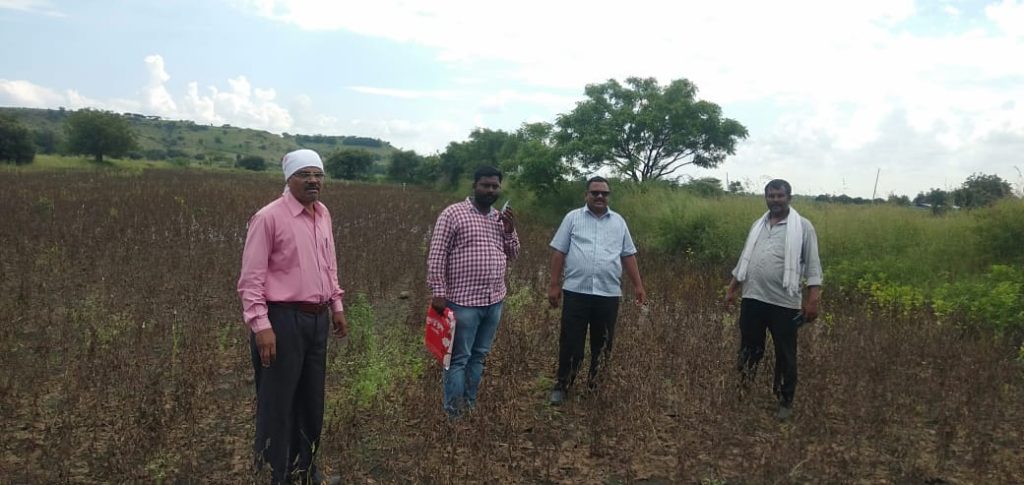 Joint Panchnama of the damage due to heavy rain in Jamkhed taluka has been launched by Agriculture and Revenue Department, see the overview of the damaged area in the photo