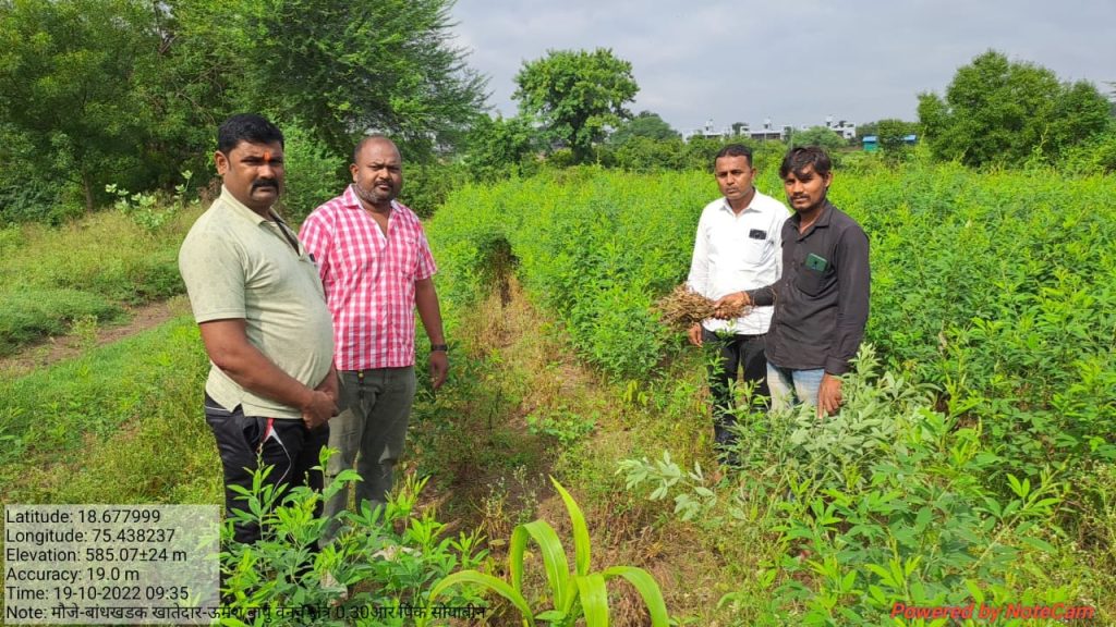 Joint Panchnama of the damage due to heavy rain in Jamkhed taluka has been launched by Agriculture and Revenue Department, see the overview of the damaged area in the photo