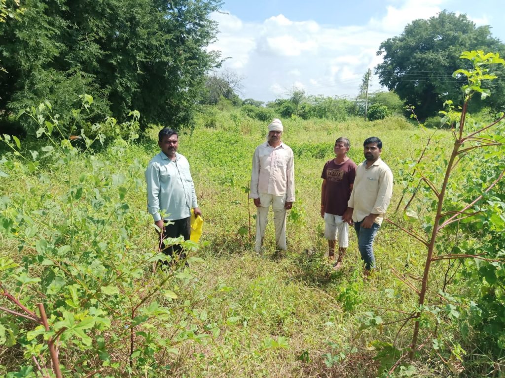Joint Panchnama of the damage due to heavy rain in Jamkhed taluka has been launched by Agriculture and Revenue Department, see the overview of the damaged area in the photo