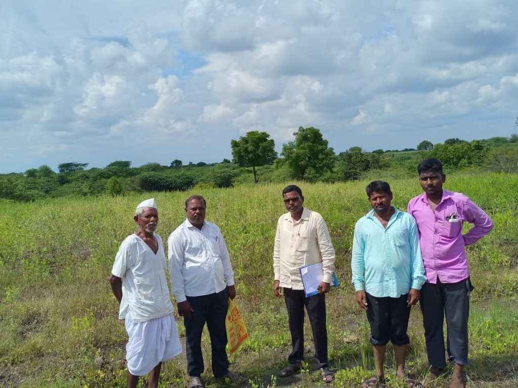 Joint Panchnama of the damage due to heavy rain in Jamkhed taluka has been launched by Agriculture and Revenue Department, see the overview of the damaged area in the photo