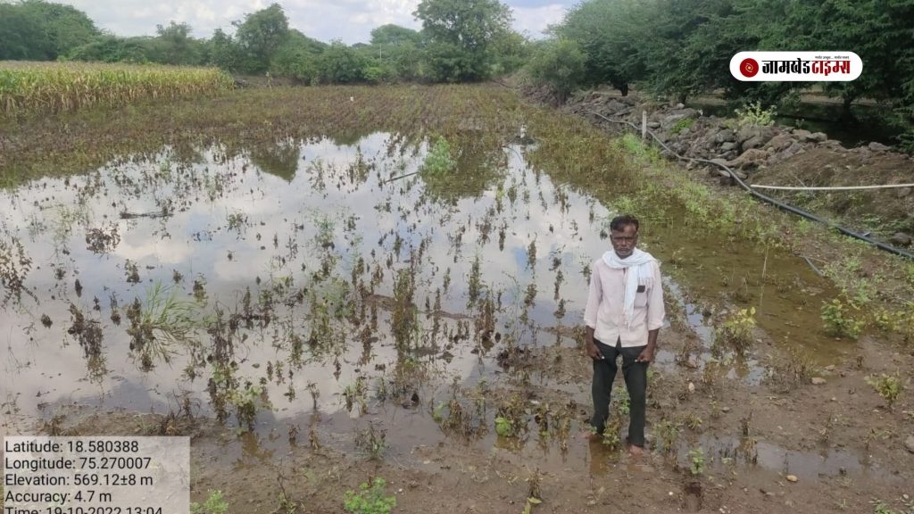 Joint Panchnama of the damage due to heavy rain in Jamkhed taluka has been launched by Agriculture and Revenue Department, see the overview of the damaged area in the photo