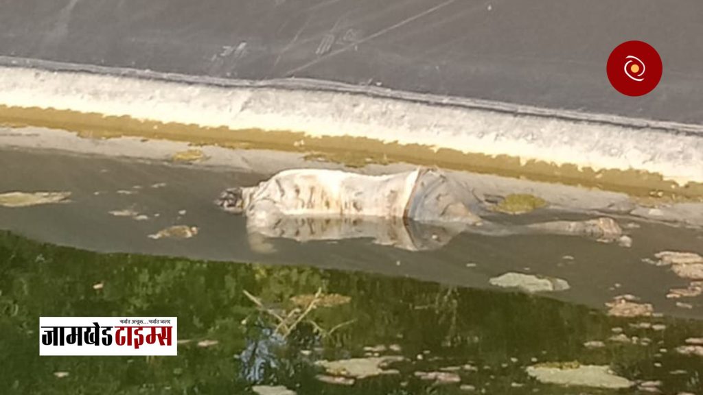 Jamkhed Breaking, A man's dead body was found in the farm pond, there was lot of excitement in Halgaon area,