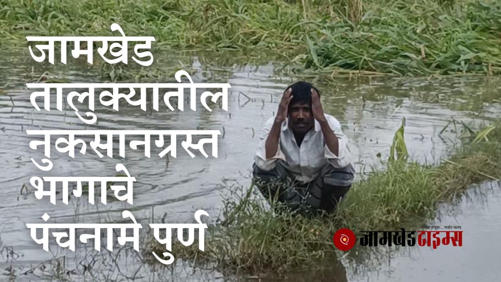Panchnama of the damaged area in Jamkhed taluka is complete, crop damage on 13995 hectares, compensation of 22 crore rupees has been demanded from the government - information of Tehsildar Yogesh Chandre