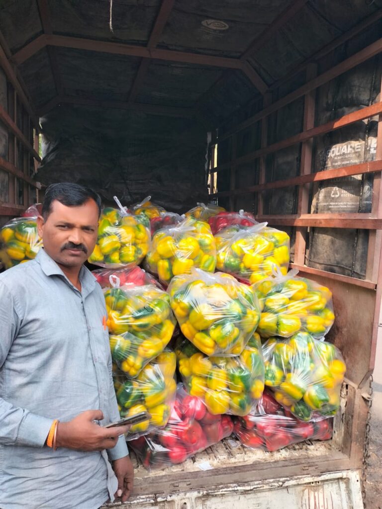 Agricultural success story, Young farmers can earn an income of 10 lakhs per acre, group farming has transformed living standards of youth, 