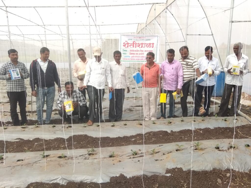Agricultural success story, Young farmers can earn an income of 10 lakhs per acre, group farming has transformed living standards of youth, 