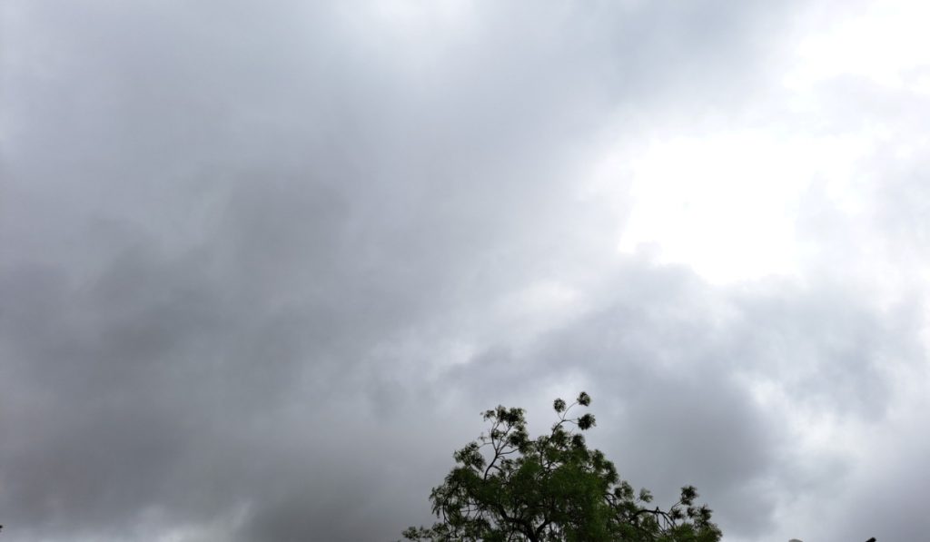 Monsoon 2023 Update Monsoon has finally arrived in Jamkhed taluka, drizzling rain have started falling, jamkhed Paus 