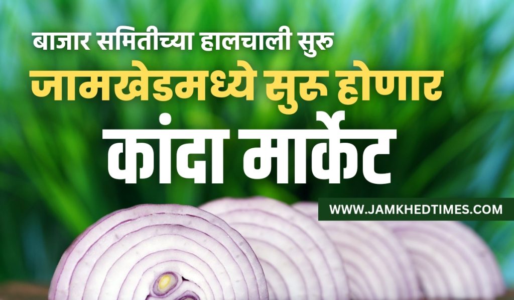 Good news,Onion market will start soon in Jamkhed, strong movement on behalf of Jamkhed market committee, happy atmosphere among farmers,Agriculture news,