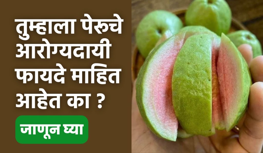 Do you know health benefits of guava? Let's know benefits of guava, guava benefits, Peruche Aarogyadayi fayade, Guava's 10 Health Benefits,