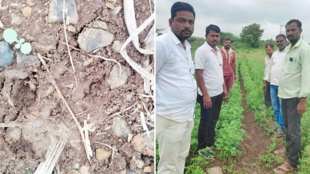 Big news, forest department found footprints of leopard in Belgaon village of Karjat taluka, panic among citizens