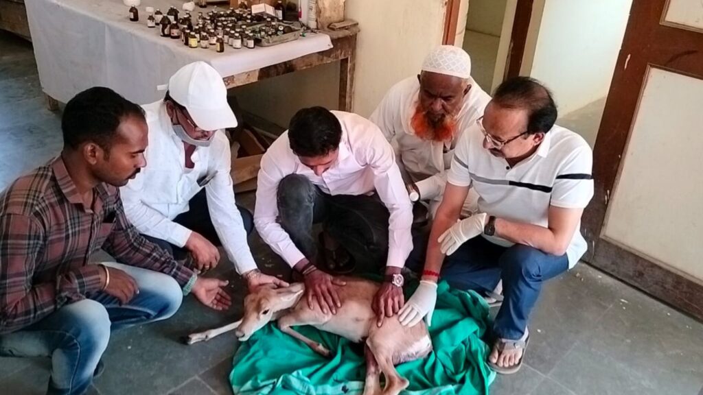 Hobbies are bad thing, Bhaskar more news, Deer followed Dr. Bhaskar More, forest department filed a case under Wildlife Protection Act, Bhaskar more jamkhed news today,