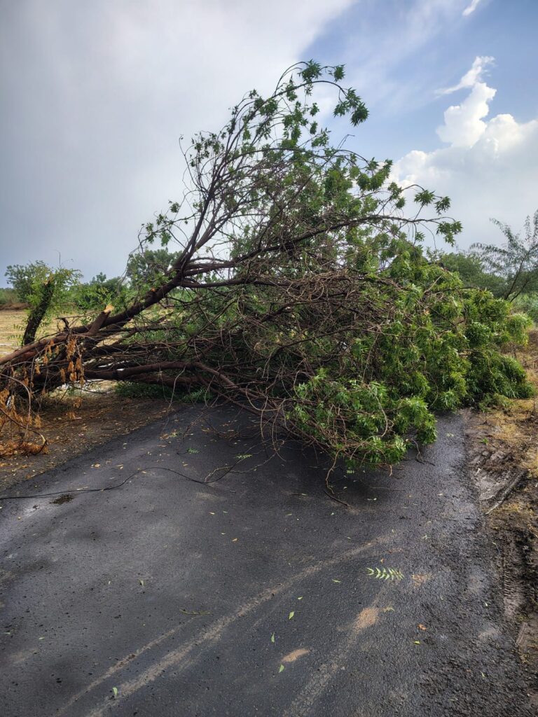 Monsoon 2026, Heavy rains wreak havoc in Jamkhed taluka,3 cows killed after lightning strikes  well, many villages affected, two injured