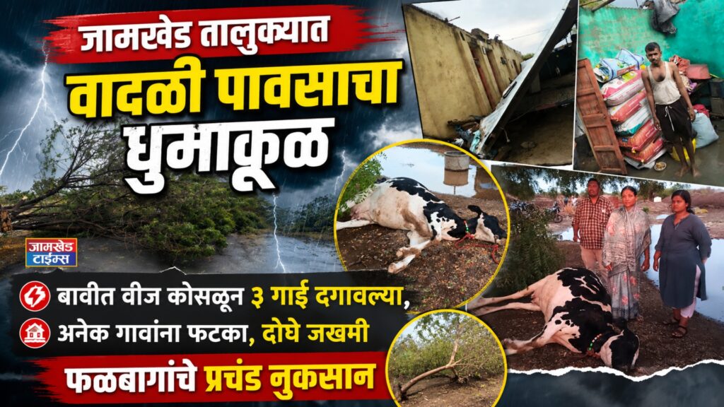 Monsoon 2026, Heavy rains wreak havoc in Jamkhed taluka,3 cows killed after lightning strikes  well, many villages affected, two injured