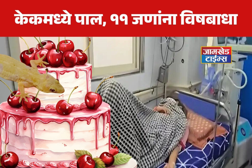 Nalasopara Cake Food Poisoning Case, Lizard found in cake, 11 suffer food poisoning, 4 in ICU, incident sparks alarm in Maharashtra,