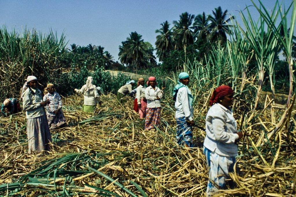us galap hangam 2026-27 entry khushali sugar commissioner action